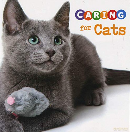 Expert Pet Care: Caring for Cats - Tammy Gagne [KSIĄŻKA]