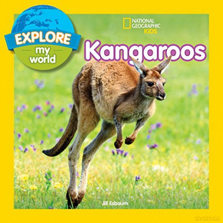 Explore My World: Kangaroos - National Geographic Kids [KSIĄŻKA]