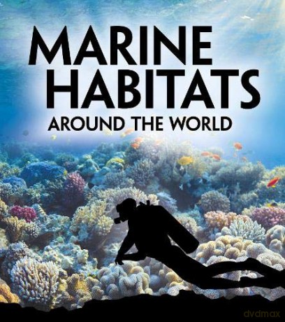 Exploring Earth's Habitats: Marine Habitats Around the World - Phillip Simpson [KSIĄŻKA]