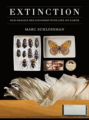 Extinction: Our Fragile Relationship with Life on Earth - Marc Schlossman [KSIĄŻKA]