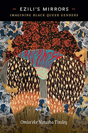 Ezili's Mirrors: Imagining Black Queer Genders - Omise'eke Natasha Tinsley [KSIĄŻKA]