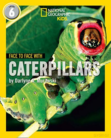 Face to Face with Caterpillars: Level 6 (National Geographic Readers) - Darlyne A. Murawski [KSIĄŻKA]
