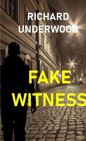Fake Witness: 1 (Ann Perkins Detective Agency) - Richard Underwood [KSIĄŻKA]