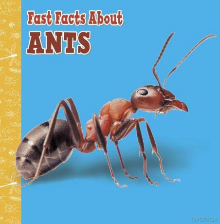 Fast Facts About Ants (Fast Facts About Insects and Spiders) - Lisa J. Amstutz [KSIĄŻKA]