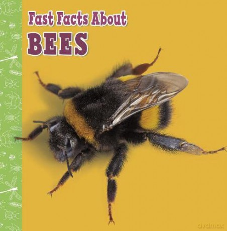 Fast Facts About Bees (Fast Facts About Insects and Spiders) - Lisa J. Amstutz [KSIĄŻKA]