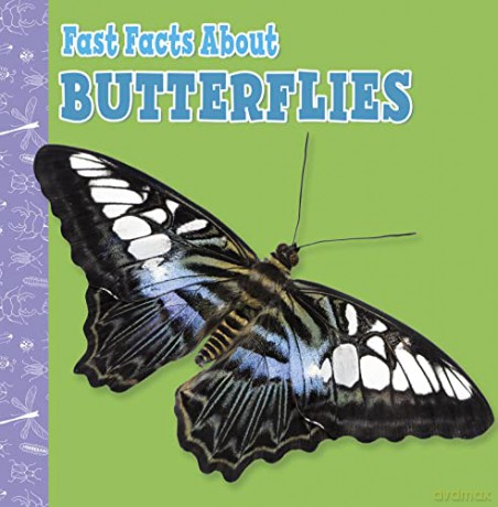 Fast Facts About Butterflies (Fast Facts About Insects and Spiders) - Lisa J. Amstutz [KSIĄŻKA]