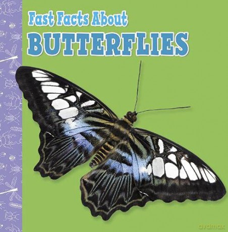 Fast Facts About Butterflies (Fast Facts About Insects and Spiders) - Lisa J. Amstutz [KSIĄŻKA]