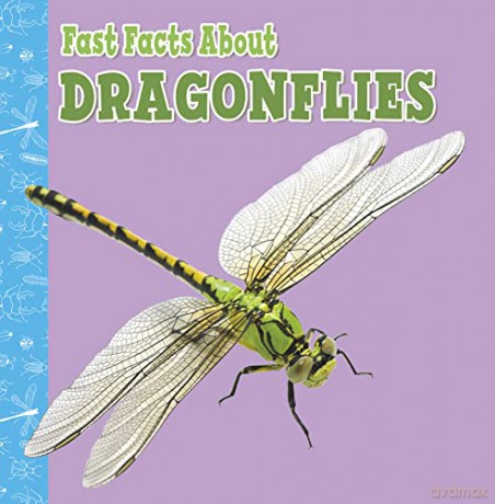 Fast Facts About Dragonflies (Fast Facts About Insects and Spiders) - Julia Garstecki-Derkovitz [KSIĄŻKA]