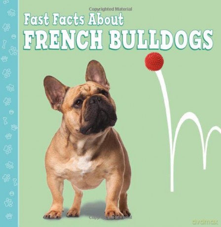 Fast Facts About French Bulldogs (Fast Facts About Dogs) - Marcie Aboff [KSIĄŻKA]