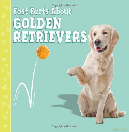 Fast Facts About Golden Retrievers (Fast Facts About Dogs) - Marcie Aboff [KSIĄŻKA]