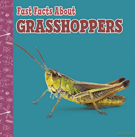 Fast Facts About Grasshoppers (Fast Facts About Insects and Spiders) - Julia Garstecki-Derkovitz [KSIĄŻKA]