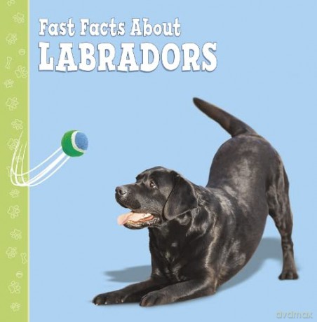 Fast Facts About Labradors (Fast Facts About Dogs) - Marcie Aboff [KSIĄŻKA]