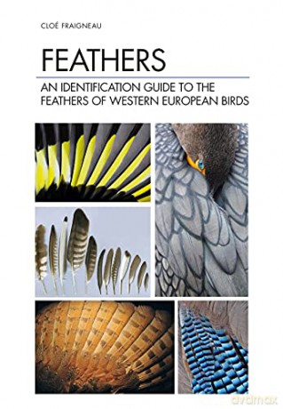 Feathers: An Identification Guide to the Feathers of Western European Birds - Cloé Fraigneau [KSIĄŻKA]