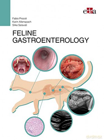 Feline Gastroenterology - Silke Salavati [KSIĄŻKA]
