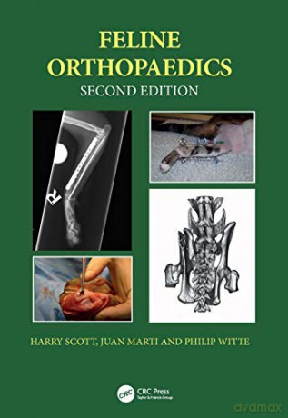 Feline Orthopaedics - Harry Scott [KSIĄŻKA]