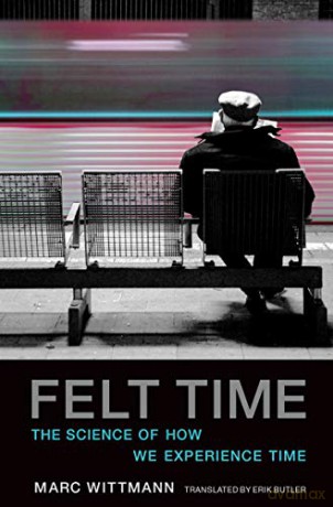 Felt Time: The Science of How We Experience Time (The MIT Press) - Marc Wittmann [KSIĄŻKA]