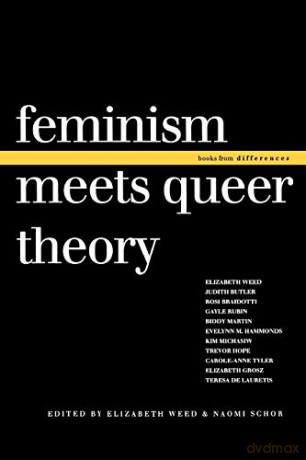 Feminism Meets Queer Theory (Books from differences) - Elizabeth Weed [KSIĄŻKA]
