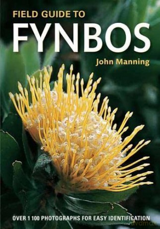 Field Guide to Fynbos (Field Guides) - John Manning [KSIĄŻKA]
