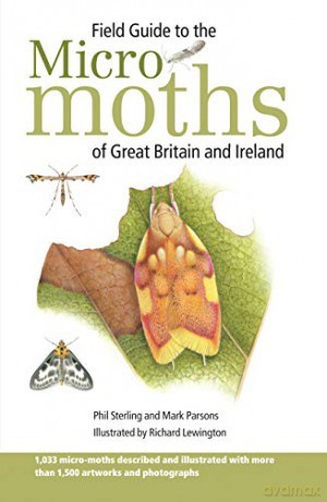 Field Guide to the Micro-Moths of Great Britain and Ireland (Bloomsbury Wildlife Guides) - Phil Sterling [KSIĄŻKA]