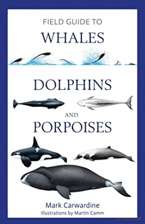Field Guide to Whales, Dolphins and Porpoises (Bloomsbury Naturalist) - Mark Carwardine [KSIĄŻKA]