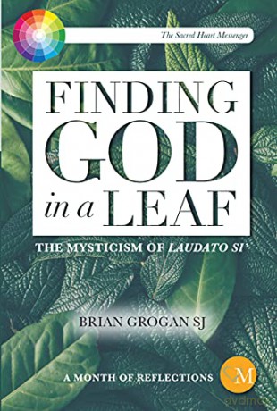Finding God in a Leaf: The Mysticism of Laudato Si' - Brian Grogan [KSIĄŻKA]