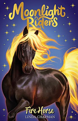 Fire Horse: Book 1 (Moonlight Riders) - Linda Chapman [KSIĄŻKA]