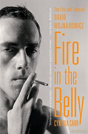 Fire in the Belly: The Life and Times of David Wojnarowicz - Cynthia Carr [KSIĄŻKA]