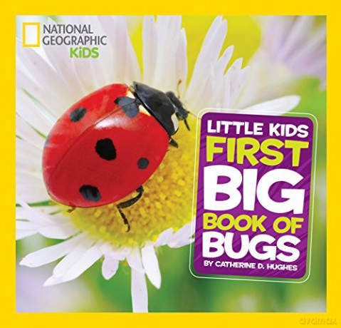 First Big Book of Bugs (National Geographic Kids) - Catherine D. Hughes [KSIĄŻKA]