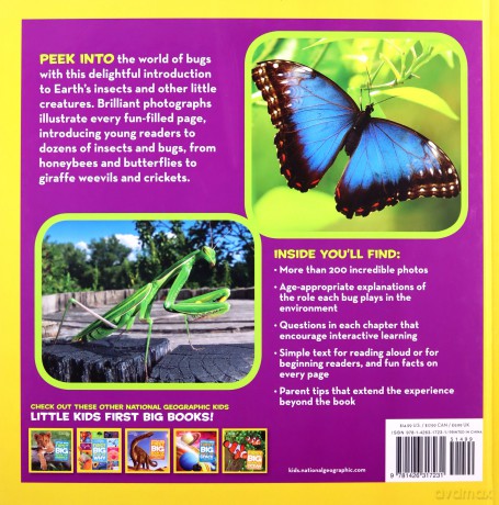 First Big Book of Bugs (National Geographic Kids) - Catherine D. Hughes [KSIĄŻKA]