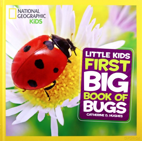 First Big Book of Bugs (National Geographic Kids) - Catherine D. Hughes [KSIĄŻKA]