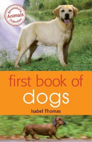 First Book of Dogs - Isabel Thomas [KSIĄŻKA]