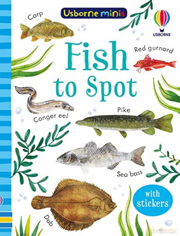Fish to Spot (Usborne Minis) - Kate Nolan [KSIĄŻKA]