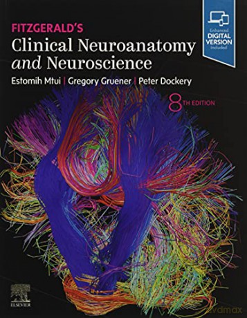 Fitzgerald's Clinical Neuroanatomy and Neuroscience - Estomih Mtui MD [KSIĄŻKA]