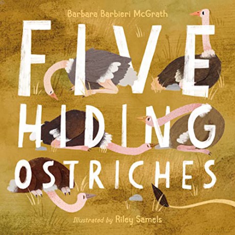 Five Hiding Ostriches - Barbara Barbieri McGrath [KSIĄŻKA]
