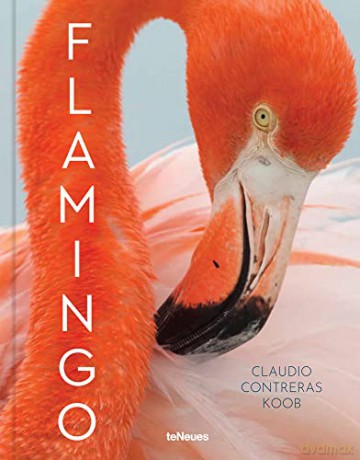 Flamingo - Claudio Contreras Koob [KSIĄŻKA]
