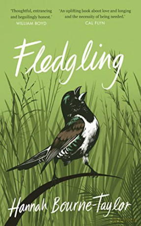 Fledgling - Hannah Bourne-Taylor [KSIĄŻKA]
