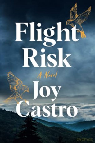 Flight Risk: A Novel - Joy Castro [KSIĄŻKA]