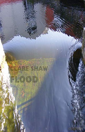 Flood - Clare Shaw [KSIĄŻKA]