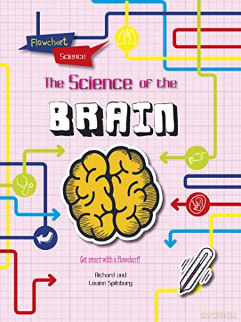 Flowchart Science: The Human Body: The Brain - Louise Spilsbury [KSIĄŻKA]