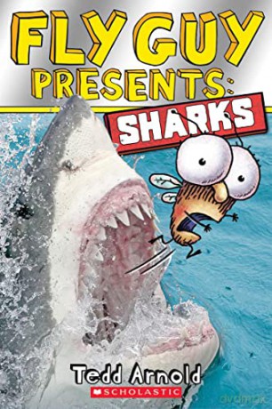 Fly Guy Presents: Sharks - Tedd Arnold [KSIĄŻKA]