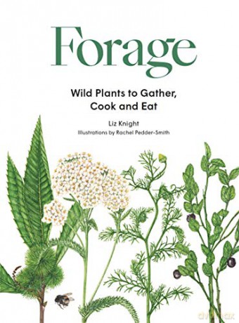 Forage: Wild plants to gather and eat - Liz Knight [KSIĄŻKA]
