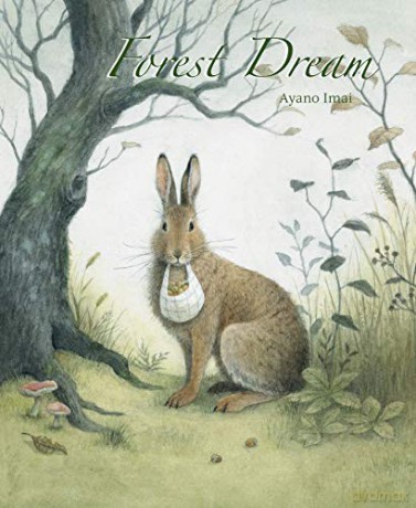 Forest Dream - Ayano Imai [KSIĄŻKA]