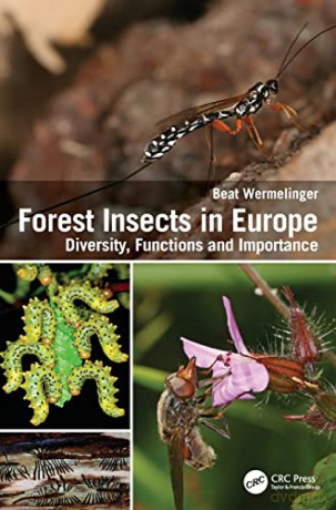 Forest Insects in Europe: Diversity, Functions and Importance - Beat Wermelinger [KSIĄŻKA]