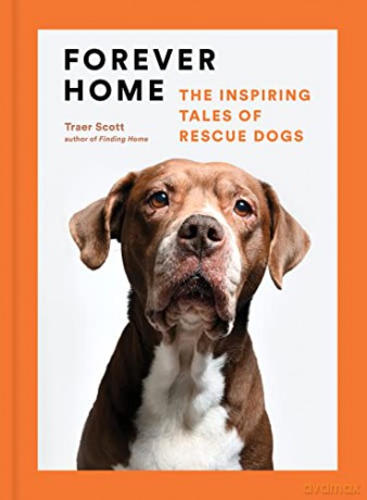 Forever Home: The Inspiring Tales of Rescue Dogs - Traer Scott [KSIĄŻKA]