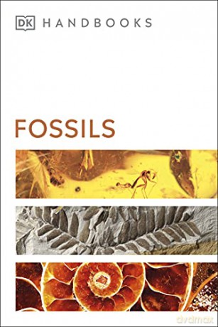 Fossils (DK Handbooks) [KSIĄŻKA]