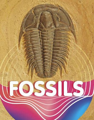 Fossils (Earth Materials and Systems) - Keli Sipperley [KSIĄŻKA]