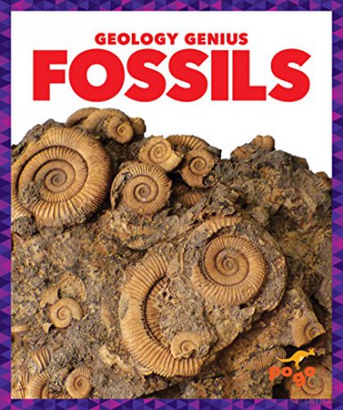 Fossils (Geology Genius) - Rebecca Pettiford [KSIĄŻKA]
