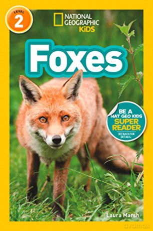 Foxes (L2) (National Geographic Readers) - National Geographic Kids [KSIĄŻKA]