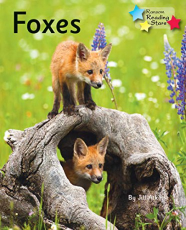 Foxes: Phonics Phase 5 (Reading Stars) - Jill Atkins [KSIĄŻKA]