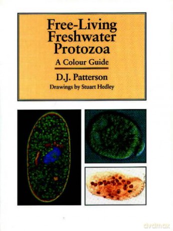 Freeliving Freshwater Protozoa - David J. Patterson [KSIĄŻKA]